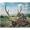 Image 1 : 3 Day Free Range Axis Hunt for  1 Hunter and 1 Non-Hunter
