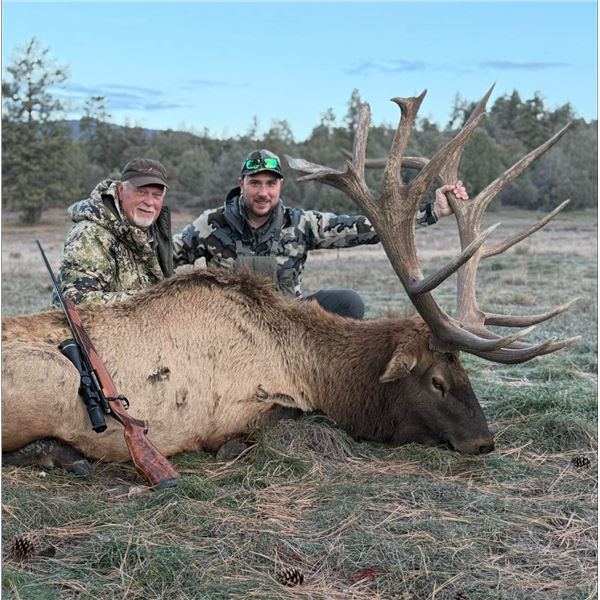 5 Day Rocky Mountain Free Range Elk Bull Hunt for 1 Hunter and 1 Non-Hunter
