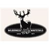 Image 2 : Wisconsin Whitetail High Fence Hunt  up to 180”