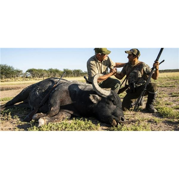 Trophy Water Buffalo Hunt For 1 Hunter  in La Pampa Province Argentina