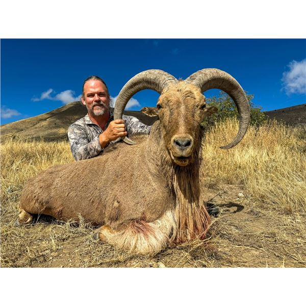 3 Day Free Range Aoudad Hunt for  1 Hunter and 1 Non-Hunter