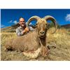 Image 1 : 3 Day Free Range Aoudad Hunt for  1 Hunter and 1 Non-Hunter