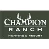 Image 1 : 3 Day / 2 Night Stay at the Champion Ranch for 2 Couples w/lodging in Casitas