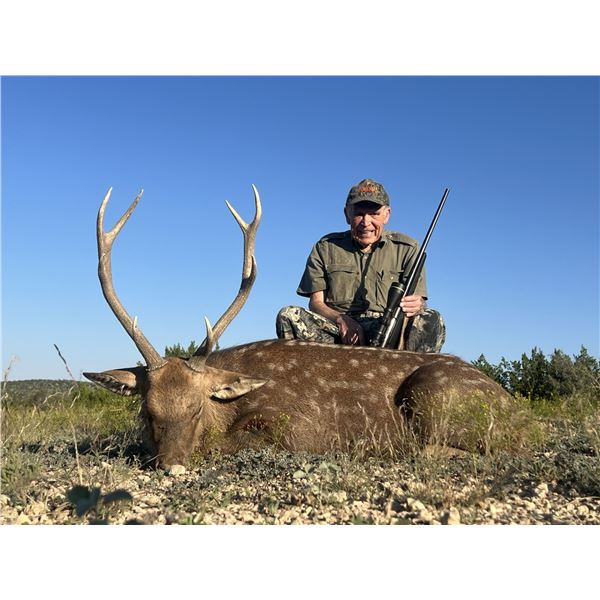 Trophy Sika and Management Red Stag  For 2 Hunters