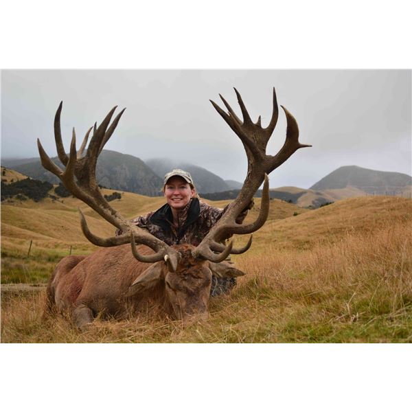 4 Day / 4 Night SCI 400-425 Red Stag  For 1 hunter and 1 non-hunter