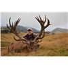 Image 1 : 4 Day / 4 Night SCI 400-425 Red Stag  For 1 hunter and 1 non-hunter