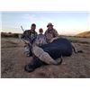 Image 1 : 10 Day Cape Buffalo Hunt (36” – 42”) Kalahari, South Africa