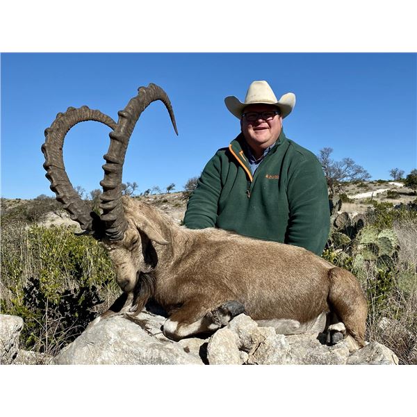 Trophy Nubian Ibex Hunt  in Water Valley, Texas