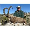 Image 1 : Trophy Nubian Ibex Hunt  in Water Valley, Texas