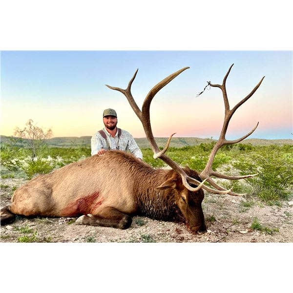 3 Day Management Elk Bull Hunt  for 1 Hunter and 1 Non-Hunter