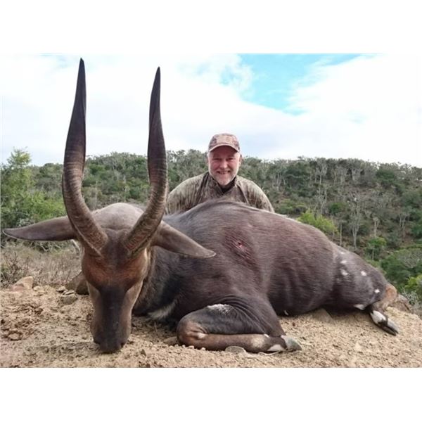 7 Day Plains Game Hunt  in The Eastern Cape