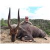 Image 1 : 7 Day Plains Game Hunt  in The Eastern Cape