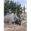 Image 5 : 7 Day Plains Game Hunt  in The Eastern Cape