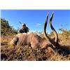 Image 6 : 7 Day Plains Game Hunt  in The Eastern Cape