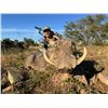 Image 7 : 7 Day Plains Game Hunt  in The Eastern Cape