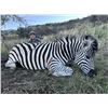 Image 8 : 7 Day Plains Game Hunt  in The Eastern Cape