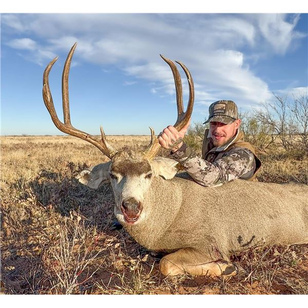 3 Day Free Range Mule Deer Hunt