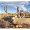 Image 1 : 3 Day Free Range Mule Deer Hunt