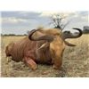 Image 1 : 7 Day African Safari