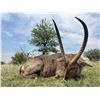 Image 3 : 7 Day African Safari