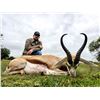 Image 4 : 7 Day African Safari