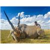 Image 5 : 7 Day African Safari