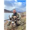Image 1 : 7-day, 6-night DIY Sitka Deer Hunt, Guided Sea Duck Hunt and Fishing on Kodiak Island for 2 Hunters