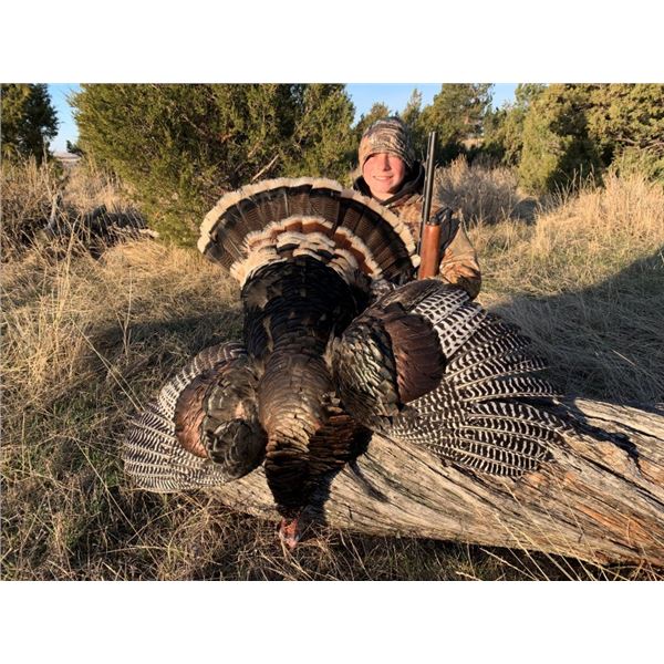 2-Day Wyoming Fall Youth Turkey Hunt, with Accompanying Adult