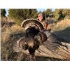 Image 1 : 2-Day Wyoming Fall Youth Turkey Hunt, with Accompanying Adult