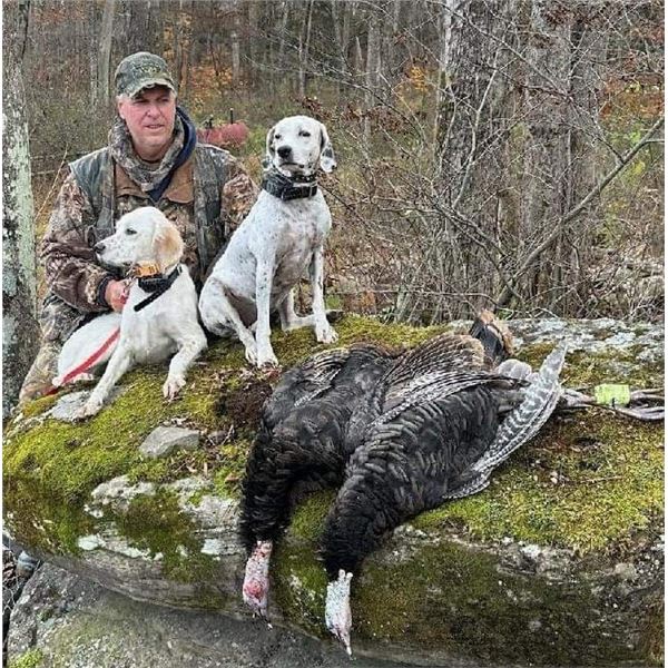 2 Day PA Fall Turkey Hunt with Appalachian Turkey Dogs for 2 Hunters
