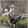 Image 1 : 2 Day PA Fall Turkey Hunt with Appalachian Turkey Dogs for 2 Hunters
