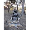 Image 2 : 2-Day Texas Predator Hunt for 2 Hunters