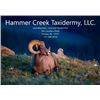 Image 1 : $1500 Credit Toward Taxidermy by Hammer Creek Taxidermy