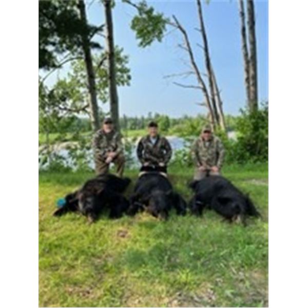 5-Day New Brunswick Spring Bear Hunt for 2 Hunters