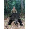 Image 2 : 5-Day New Brunswick Spring Bear Hunt for 2 Hunters