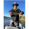 Image 2 : 2- Day Guided Trout Fishing Trip on the Jefferson River in SW MT. for 2 People