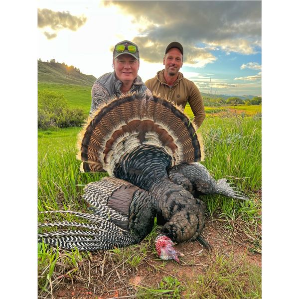 3-Day Wyoming Turkey & Prairie Dog Hunt for 2 Hunters