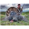 Image 2 : 3-Day Wyoming Turkey & Prairie Dog Hunt for 2 Hunters