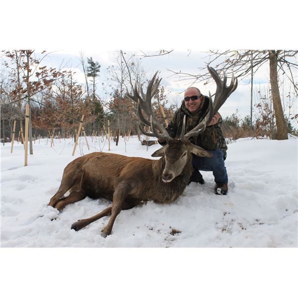 2-Day Red Stag Hunt for 1 Hunter and One Non-hunter