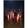 Image 2 : 2 Day Outer Banks Shark Fishing Adventure for Two People