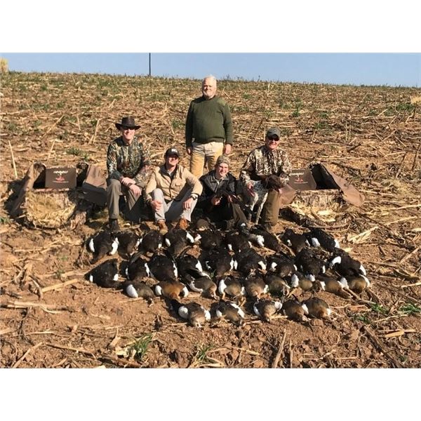 7 Day All-Inclusive Africa Mixed Bird Hunt for 2 Hunters