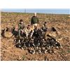 Image 1 : 7 Day All-Inclusive Africa Mixed Bird Hunt for 2 Hunters