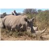 Image 1 : 7 Day South African Plains Game and White Rhino Vita Dart Hunt for 3 Hunters