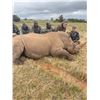 Image 4 : 7 Day South African Plains Game and White Rhino Vita Dart Hunt for 3 Hunters