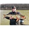 Image 1 : 6 Hour Muskie Fishing for 2 with Musky on the Susky Outfitters