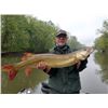 Image 2 : 6 Hour Muskie Fishing for 2 with Musky on the Susky Outfitters
