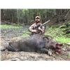 Image 1 : 1 Day/1 Night Trophy Russian Boar Hunt for 4 Hunters
