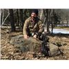 Image 2 : 1 Day/1 Night Trophy Russian Boar Hunt for 4 Hunters
