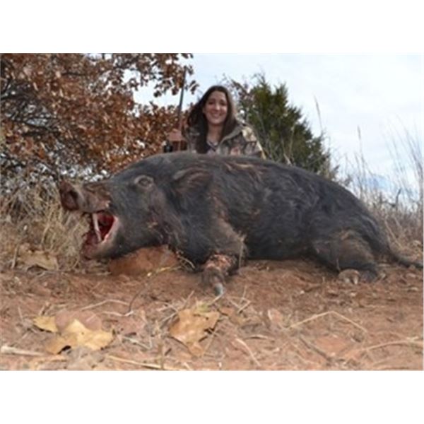 Two Day Oklahoma Hog and Ram Hunt for 2 Huntes