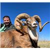 Image 2 : 3 Day Texas Ram Hunt for 4 Hunters